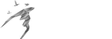 Museo a cielo abierto